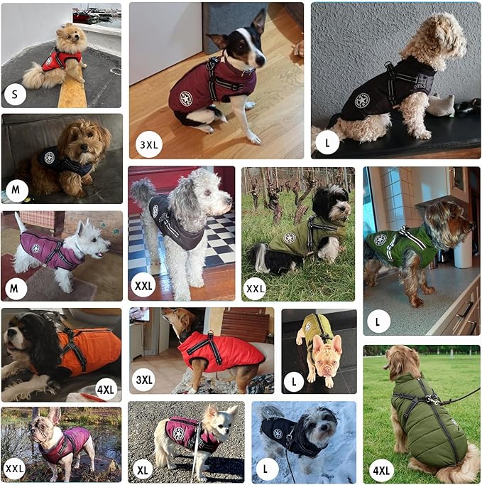 Aiboria Dog Jackets for Winter Windproof Waterproof 2 in 1 Outfit Cold Weather Coat Dog Vest Harness Puppy Winter Warm Jacket Green L