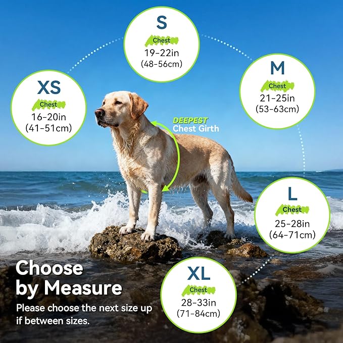 VIVAGLORY High Buoyancy Dog Life Vest, Swimming Vest with Handle, Dog Life Jacket for Swimming & Boating, Buoyancy for Puppy Doggy, XL, Pink Blue