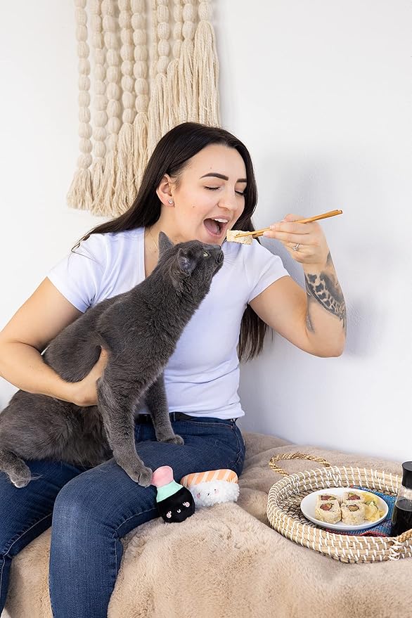 Pearhead Pet Interactive Plush, Chew, and Catnip Sushi & Soy Sauce Cat Toys, Set of 2, Owner Playtime Accessory, Must Have Kitten Accessories