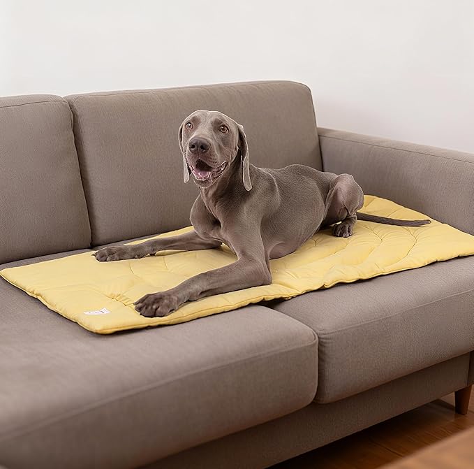 Travel Dog Bed | Camping Dog Bed | 37.4"x25.6" Waterproof Outdoor Dog Mat | Portable Place Mat for Dogs with Handle | Machine Washable | Easy Clean for Outdoor Adventures (Yellow, Medium)