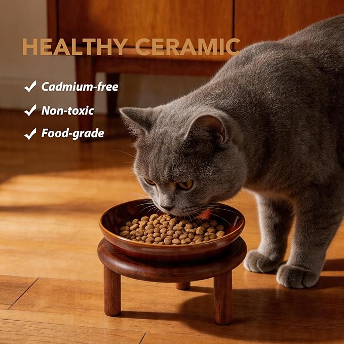 Havniva Elevated Cat Bowls Raised Ceramic Cat Bowl, 5.9” Wide Opening Cat Food Bowl Whisker Friendly Cat Dish Anti-Slip with Wood Stand, Shallow Pet Food & Water Bowl for Indoor Cats