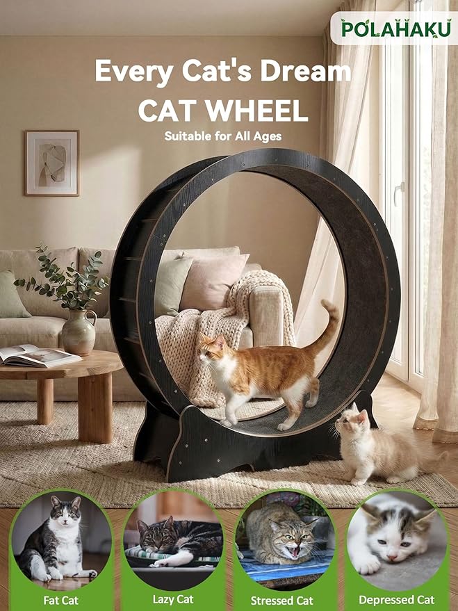 Cat Exercise Wheel, 48 Inch Diameter Cat Treadmill for Indoor Cats, Cats Running Wheel with Updated Enhanced Base and Carpeted Runway for Cat's Longer Life and Fitness, Black