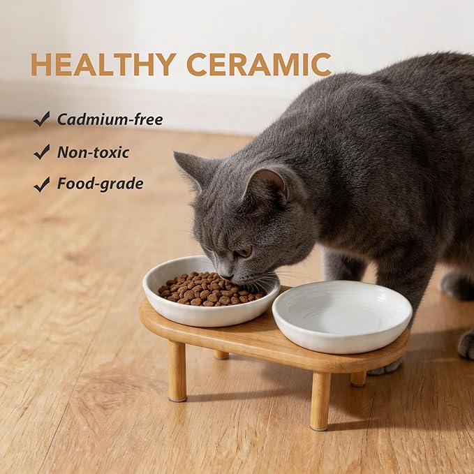 Havniva Elevated Cat Bowls Raised Ceramic Cat Bowl, 5.9” Wide Opening Cat Food Bowl Whisker Friendly Cat Dish Anti-Slip with Bamboo Stand, Shallow Pet Food & Water Bowl for Indoor Cats