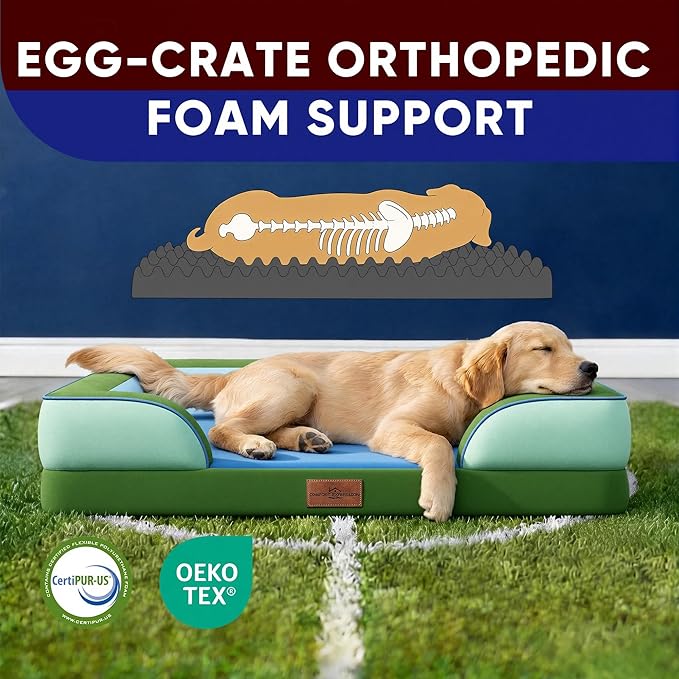 Comfort Expression Orthopedic Dog Bed for Large Dogs 36x27 Inch, Waterproof Egg Crate Foam Large Pet Bed with Bolsters, Dog Couch with Washable Cover & Non-Slip Bottom, Boston