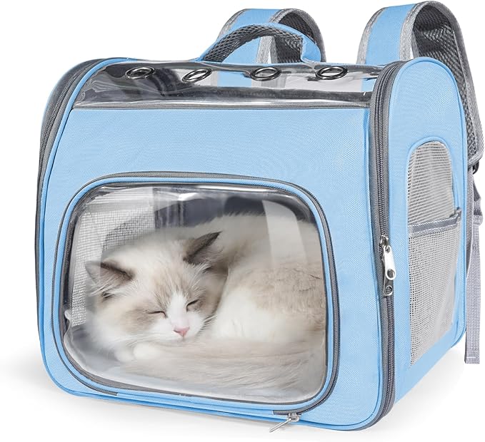 Cat Soft-Sided Carrier Backpack, Breathable Mesh Foldable Pet Travel Carrier with Reinforced Support, Portable Puppy Carrying for Kitty Up to 15lbs (Blue)