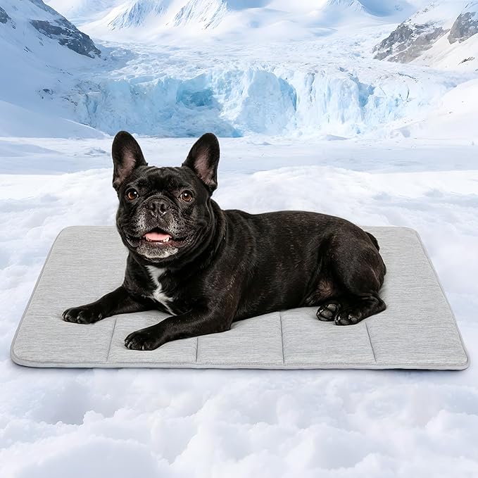 Dog Cooling Mat for Medium Dogs - 30x20 Orthopedic Memory Foam Pet Pad for Summer, QMAX>0.5, Washable Premium Comfort Crate Pad for Your Furry Companion, Grey