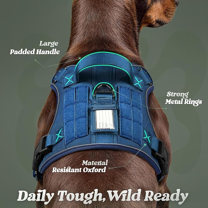 rabbitgoo Tactical Dog Harness for Large Dogs No Pull Adjustable Military Vest with Handle MOLLE Reflective Heavy Duty Dog Vest for Walking Training Hunting Outdoor Working Medium Size Dog Blue L