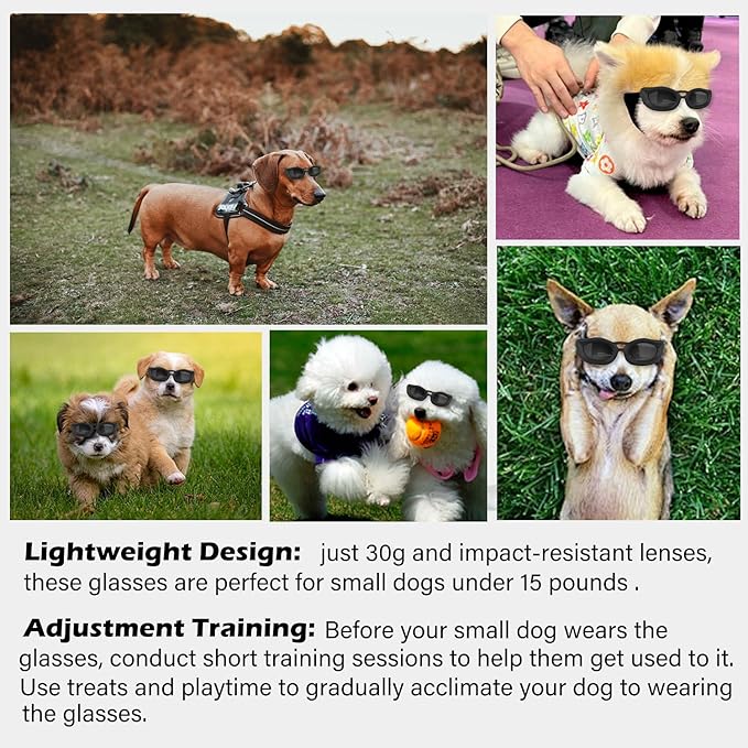 Dog Goggles Small Breed, UV/Wind/Dust/Fog Protection Pet Sunglasses with Adjustable Strap,Outdoor Dog Sunglasses for Small Dogs,Easy Wear