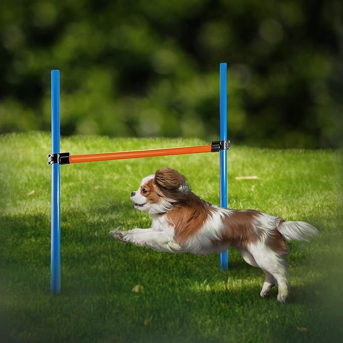 Dog Agility Equipment, 28 Piece Dog Obstacle Course for Training and Interactive Play Includes Dog Agility Tunnel, Adjustable Hurdles, Poles, Whistle, Rope Toy with Carrying Case