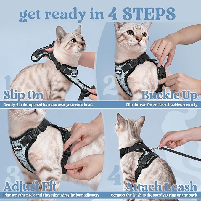 rabbitgoo Cat Harness and Leash Set, Escape Proof Kitten Harness for Safe Outdoor Walks, Soft Breathable Adjustable Vest with Reflective Strips for Kittens and Extra Small Cats, Doodle Gray, XXS