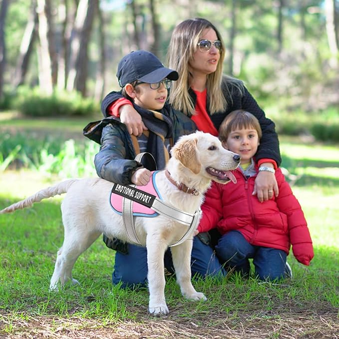 VOOPET Emotional Support Dog Harness, Professional Service Dog Vest for Large Dogs, Reflective, Breathable, Adjustable, No Pull/Choke, Pink