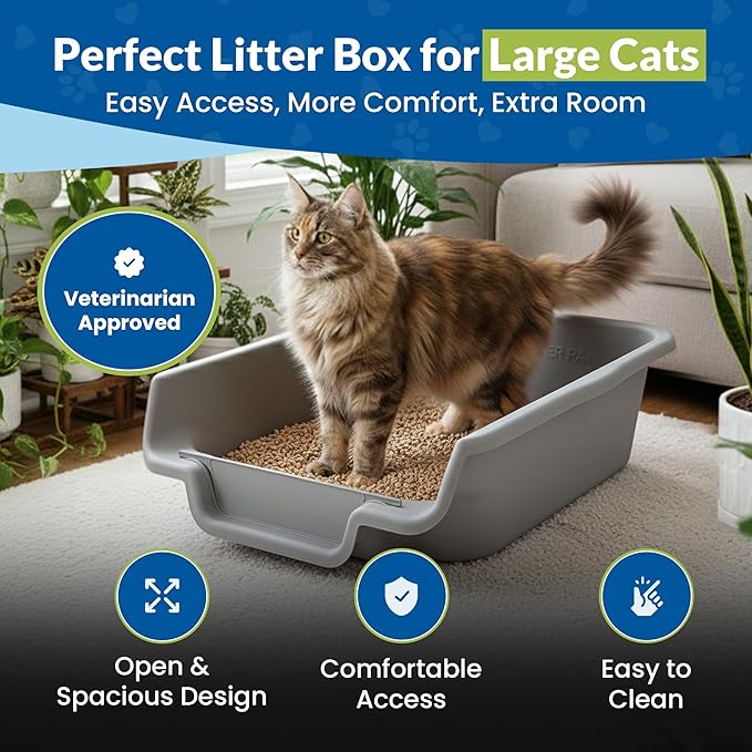 KittyGoHere Senior Cat Litter Box, Jumbo Litter pan, Open Top Low Entrance Kitty Litter Box, Lightweight Low Entry Litters Box, Durable, Made in USA (2 Pack - Misty Gray)