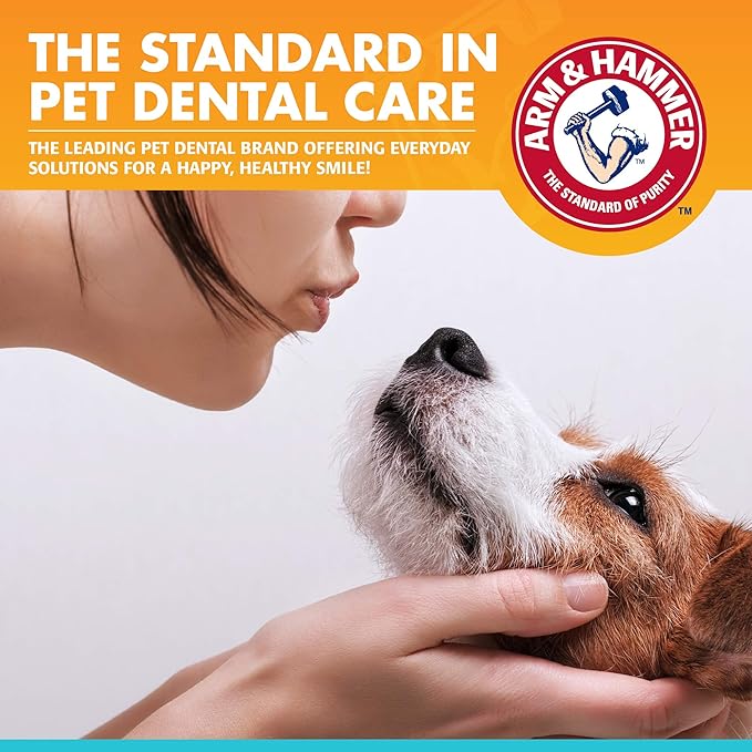 Arm & Hammer for Pets Fresh Breath Dog Dental Kit, Toothpaste, Toothbrush, and Finger Brush, Baking Soda Enhanced, Reduces Plaque and Tartar, Vanilla Ginger Flavor, 2.5 Oz - 72 Pack