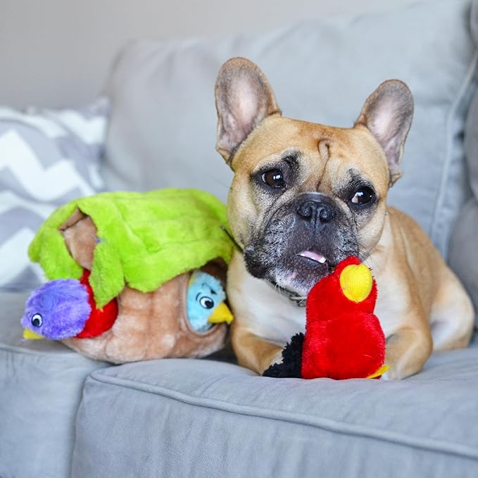 Outward Hound Hide A Bird Plush Dog Toy Puzzle