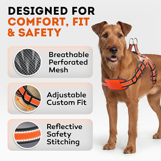 Dog Harness for Medium Dogs Back D-Ring Control No Choking Pressure-Free Chest Design Comfortable Padded Adjustable Reflective Vest Harness for Daily Walks Training Easy Control Outdoor Use Secure Fit