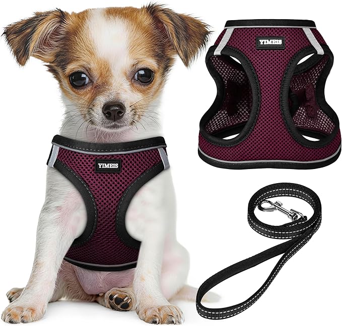 YIMEIS Dog Harness and Leash Set, No Pull Soft Mesh Pet Harness, Reflective Adjustable Puppy Vest for Small Medium Large Dogs, Cats (Grape Purple, X-Small (Pack of 1)