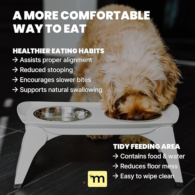 MalsiPree Elevated Dog Bowls for Small Dogs - 6.5" Raised Dog Bowl Stand with Splash Guard - Portable Folding Pet Feeding Station with 2 Stainless Steel Bowls - Travel Road Trip Foldable Collapsible