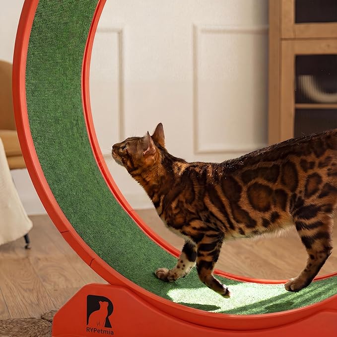 Cat Exercise Wheel, 39.4 Inch Indoor Treadmill for Cats with Carpeted Runway, Screw-Fixed Assembly for Easy Setup, Silent & Safe Fitness Equipment for Most Cats