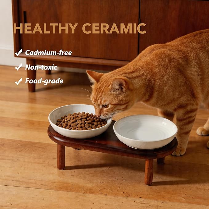 Havniva Elevated Cat Bowls Raised Ceramic Cat Bowl, 5.9” Wide Opening Cat Food Bowl Whisker Friendly Cat Dish Anti-Slip with Wood Stand, Shallow Pet Food & Water Bowl for Indoor Cats
