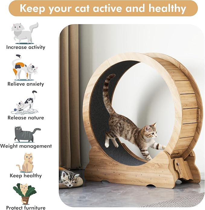 Cat Exercise Wheel, Cat Running Wheel with Smooth and Quiet Roller, Detachable Carpet and Toy Teaser for Fun Fitness Training Treadmill,Natural Wood