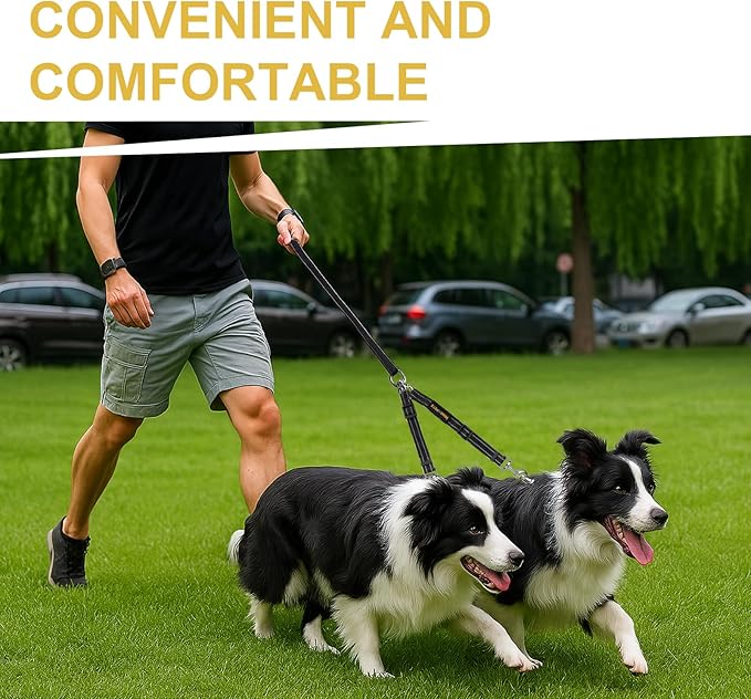 MingXpet Double Dog Leash for Two Dogs, No Pull Dog Leash, 360° Swivel No Tangle for Medium Dogs Walking & Training, Shock Absorbing Reflective Bungee, Black