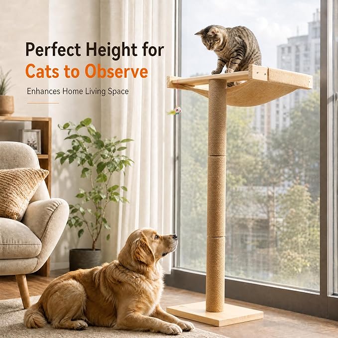 Cat Window Perch with Tall Scratching Posts, Inside 46" Climbing Tree Hammmock Mounted with Suction Cups for Sleeping,Playing and Watching Birds