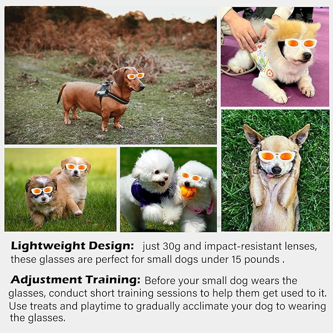 Dog Goggles Small Breed, UV/Wind/Dust/Fog Protection Pet Sunglasses with Adjustable Strap,Outdoor Dog Sunglasses for Small Dogs,Easy Wear