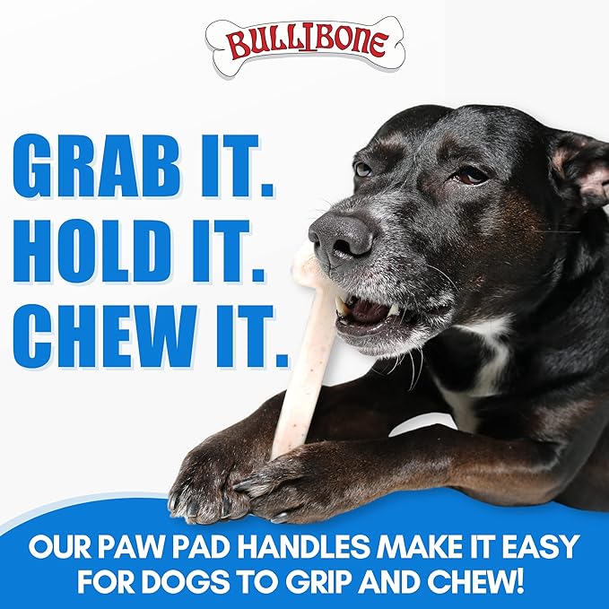 Bullibone Nylon Dog Chew Toy for Aggressive Chewers - Dental Hygiene Bone with Beef Flavor, Durable Tough Chew Toys for Small Dogs, Indestructible Dog Bone - 2 Pack