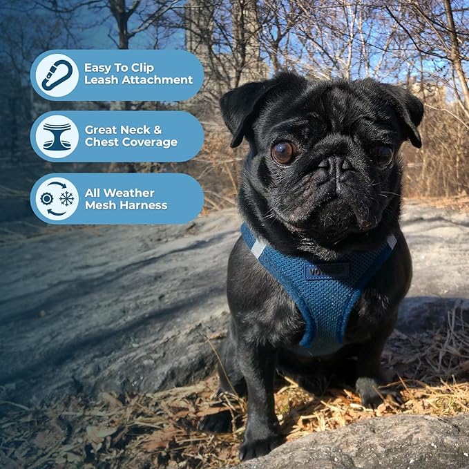Best Pet Supplies Voyager Step-in Air All Weather Mesh Harness and Reflective Dog 5ft Leash Combo with Neoprene Handle, for Small, Medium and Large Breed Puppies - Set (Blue), XXX-Small