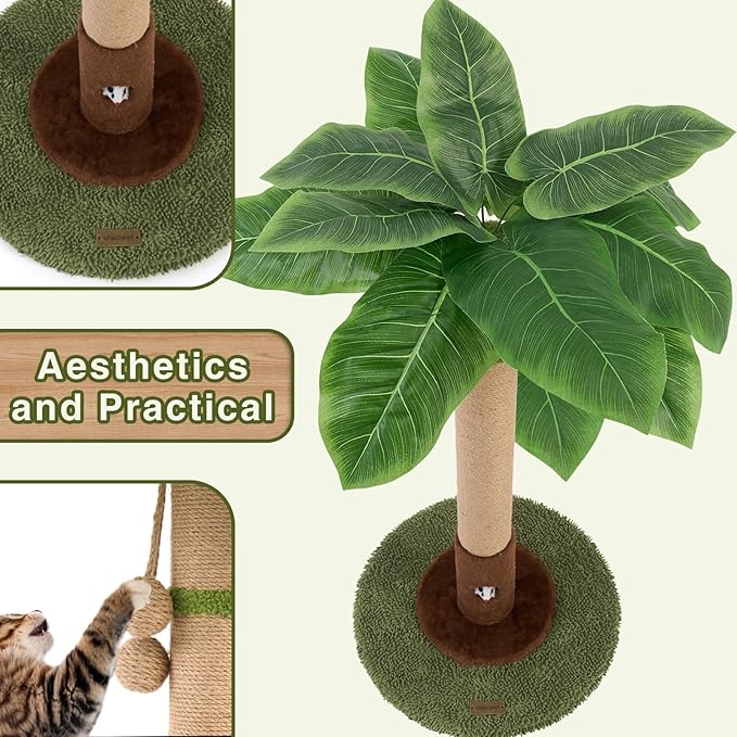 Woochpet Cat Scratching Post for Indoor Cats and Kitten - 35.43" Tall Cat Scratching Post with Sisal Rope,Palm Tree Cat Scratch Post with Hanging Ball (35.4-Green, 35.4in)