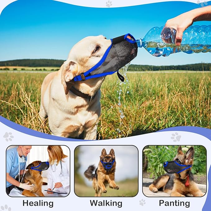 Dog Muzzle with Front Opening for Training and Treats, Breathable Air Mesh Muzzle for Biting Chewing Scavenging, Soft Lightweight Adjustable Mouth Guard for Small Medium Large Dogs (Blue, XL)
