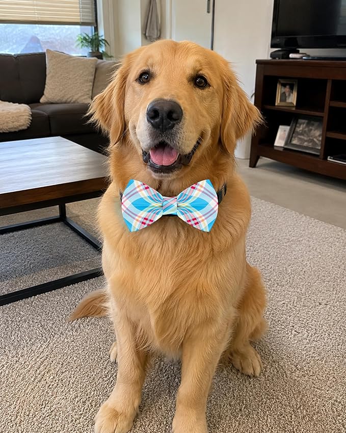 PET SHOW 10 Pack Plaid Big Dog Bow Ties for Large Medium Dogs Sliding Collar Attachments Classic Bowties Rainbow Bowknots Birthday Party Holiday Pet Grooming Accessories(Large)