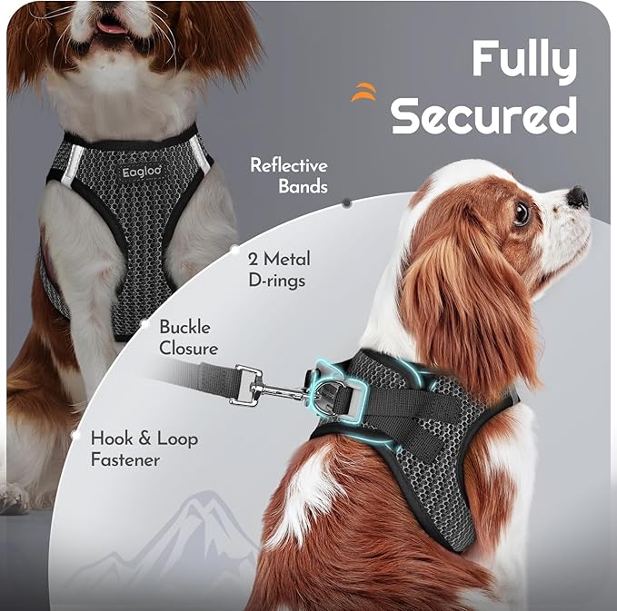 Eagloo Small Dog Harness and Leash Set, Step in Puppy Vest with Breathable Soft Mesh, Walking Reflective Pet Harness for Medium Small Dogs, Gray, M