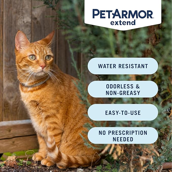 PetArmor Extend Cat Flea and Tick Treatment & Prevention Collar for Cats, 8 Months of Protection, Waterproof, Kills Fleas, Ticks, and Larvae, 1 Count