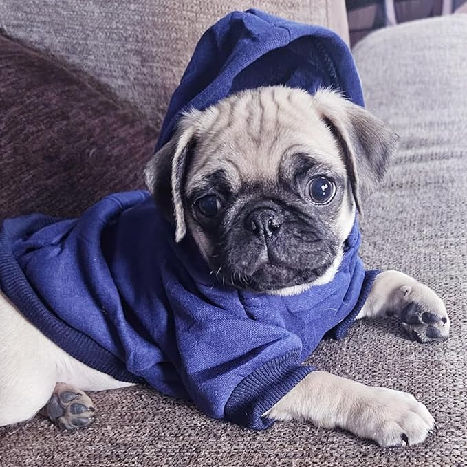 Jecikelon Soft Dog Hoodies for Small Dogs, Fleece Puppy Sweatshirt with Pockets, Warm Winter Cold Weather Coats for Pet Cat, Cute Clothes Puppy Costume (Navy, Large)