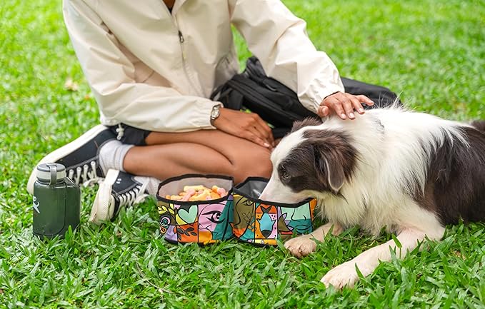 OllyDog Superbowl | Collapsible Dog Travel Bowl | 2-Compartment Food & Water | Foldable Portable Dog Dish | Hiking Camping Backpacking | Small Medium Large Dogs (Cloud9)