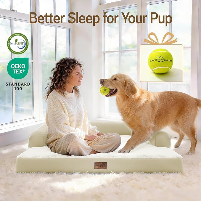 Comfort Expression Memory Foam Large Dog Bed - Waterproof Orthopedic Pet Bed with Washable Removable Cover, Non-Slip Pet Sofa Couch, 36 x 27