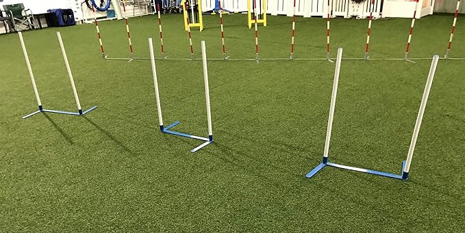 Agility Weave Poles Adjustable 6 Pole Set with Carrying Case and Grass Stakes, Blue/White, 1 Count (Pack of 1)
