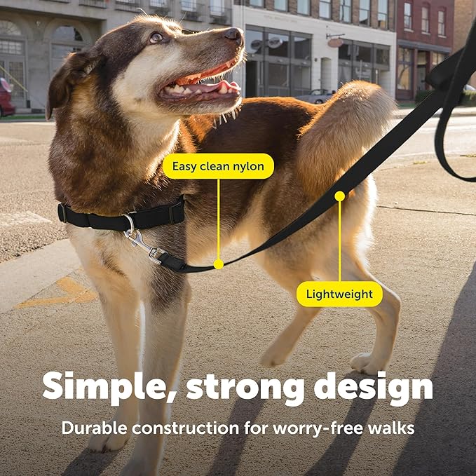 PetSafe Nylon Dog Leash Strong, Durable, Traditional Style Lead with Easy to Use Bolt Snap for Small, Medium and Large Dogs 1" x 4', Black