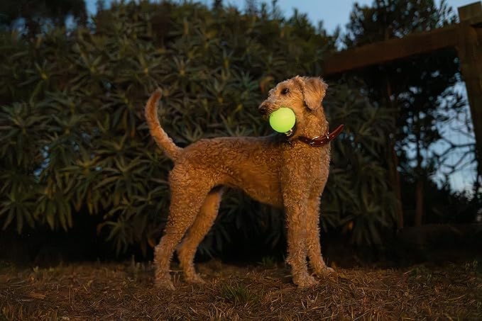 Harry Barker Glow-in-the-Dark Rubber Dog Fetch Balls, High-Bounce Interactive Toy with Safety Air Vent, 3 Inch, Launcher-Compatible