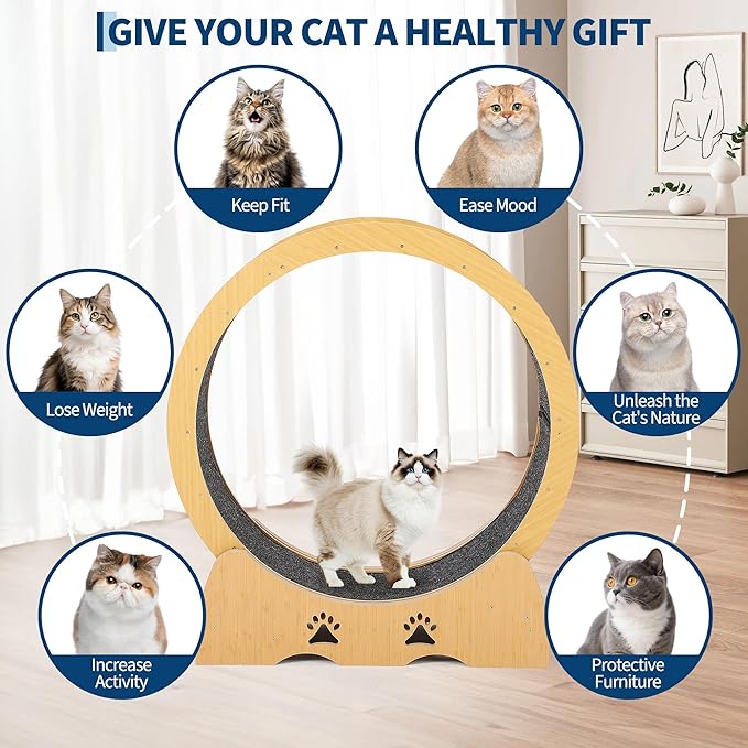 GarveeLife Cat Exercise Wheel, Wooden Cat Running Treadmill with Carpeted Runway for Indoor Cats, Low Noise Removable Carpet Cat Wheel for Kitty Running Walking Training