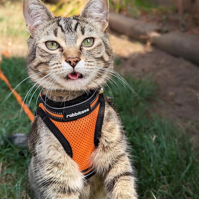 rabbitgoo Cat Harness and Leash, Step-in Escape Proof Kitten Harness Set, Soft Comfortable Cat Vest, Easy to Wear and Adjust, Reflective for Safe Outdoor Walking, Light Orange, Small