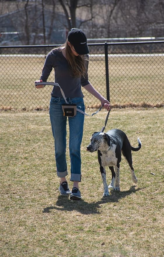 OllyDog Goodie Treat Bag, Dog Treat Pouch, Waist Belt Clip for Hands-Free Training, Magnetic Closure, Dog Training and Behavior Aids, Three Ways to Wear (Fiori)