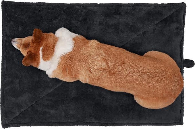 Furhaven ThermaNAP Self-Warming Cat Bed for Indoor Cats & Small Dogs, Washable & Reflects Body Heat - Quilted Faux Fur Reflective Bed Mat - Black, Small (Pack of 2)