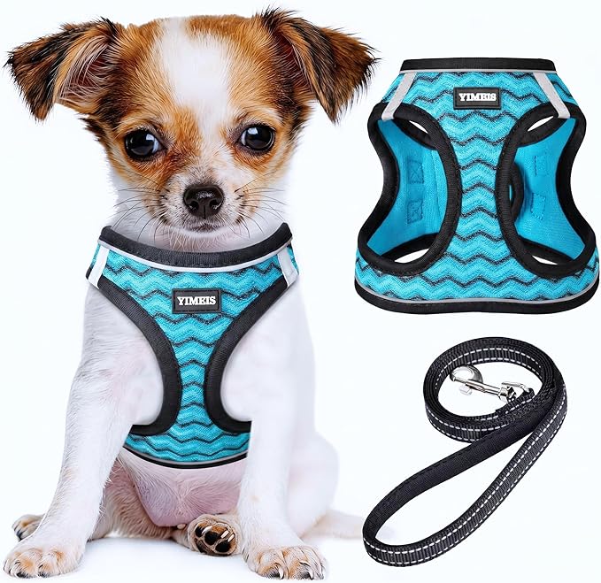 YIMEIS Dog Harness and Leash Set, No Pull Soft Mesh Pet Harness, Reflective Adjustable Puppy Vest for Small Medium Large Dogs, Cats (Blue, X-Small (Pack of 1)