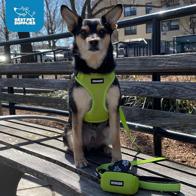 Best Pet Supplies Voyager Step-in Lock Pet Harness w Reflective Pet Leash Combo Set with Neoprene Handle 5ft - Supports Small, Medium and Large Breed Puppies/Cats - Turquoise Set, XS