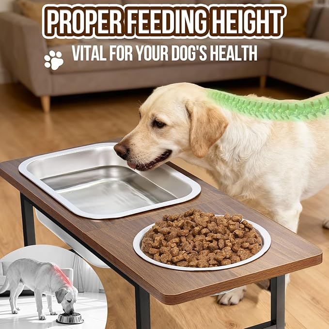 Elevated Dog Bowls for Large and X-Large Breed, 2 Stainless Steel Bowls, 2 Adjustable Heights 14" or 12" Raised Dog Water and Food Bowl with Metal Stand (Upgraded Extra-Large Water Bowl)