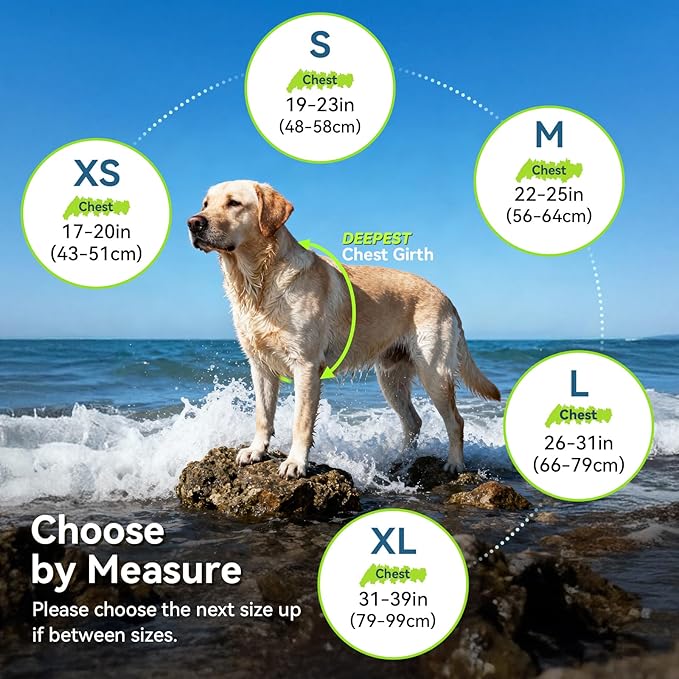 VIVAGLORY Sports Style Dog Life Vest, Dog Life Jacket for Swimming & Boating, Ripstop & Buoyancy for Puppy Doggy, Lifejacket with Handle, XL, Floral