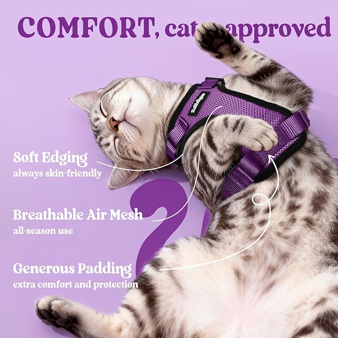 rabbitgoo Cat Harness and Leash Set, Escape Proof Vest Harness for Safe Outdoor Walks, Soft Breathable Adjustable Vest with Reflective Strips for Average to Large Cats, Purple, M