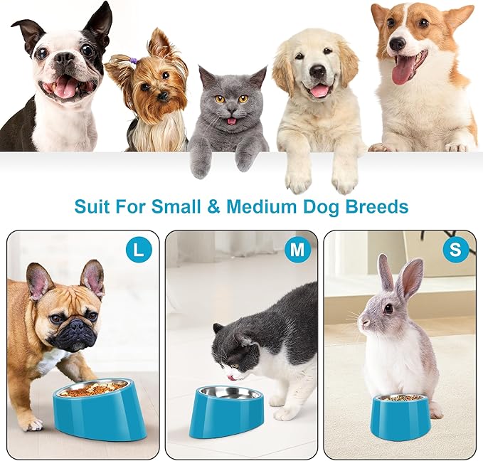 Tilted Dog Bowl Non-Slip & Non-Spill Pet Feeder with Elevated Detachable Melamine Stand, Easy to Get Food Dog Dish, S/100ml Blue